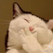单位所在地是哪里