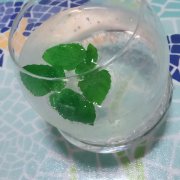 最好不要汇款 初步判