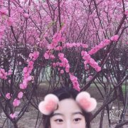 你好，抱歉这么久才回