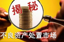 中国华融资产管理公司副总裁王文杰谈不良资产理解